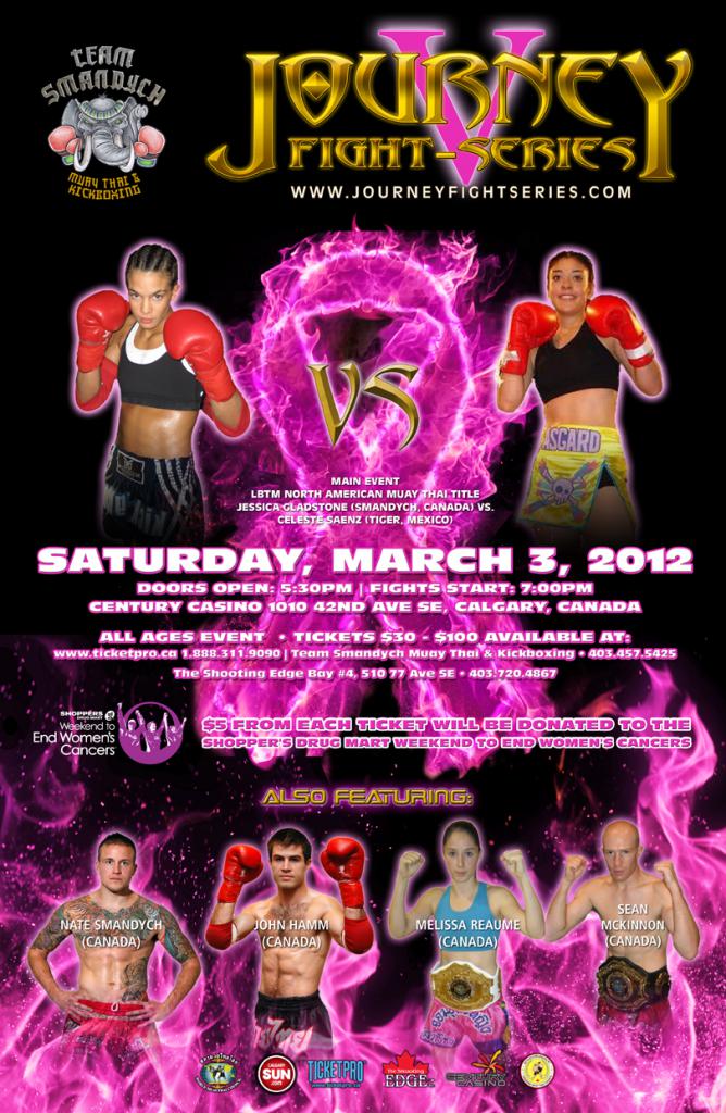 JOURNEY FIGHT SERIES V