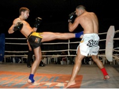Professional Fight Night in Ufa, Russia (Results)