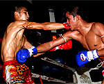 Singmanee and his vital punch see Petchmankong off in round 4