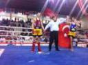 European Championships and Cup 2012 Summary