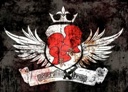 January 6, 2011: Generation eXtreme to host Emirates Fighting Championship